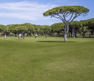Golf  Vincci Costa Golf 4* Cadiz